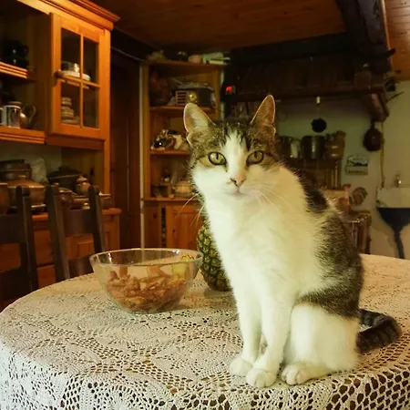 Ustronne Siedlisko * Sorkwity