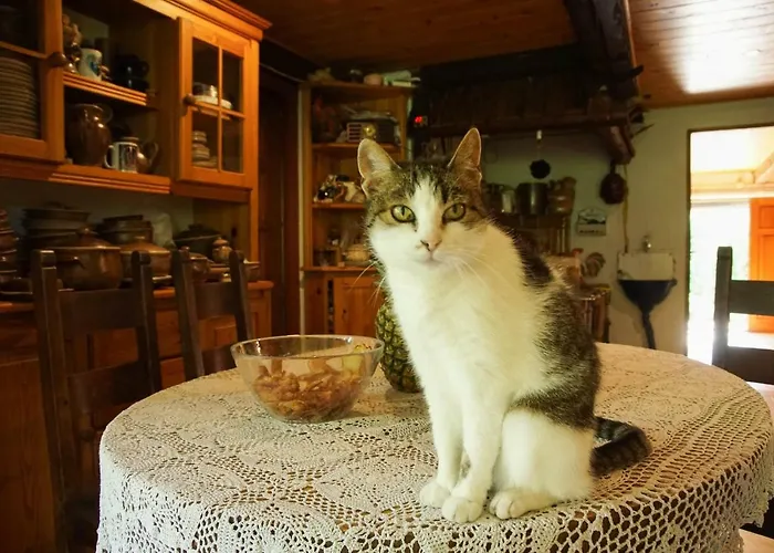 Ustronne Siedlisko * סורקביטי